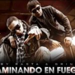 Baby Rasta y Gringo Ft. Los Pachuche - Caminando por el fuego (Remix) MP3