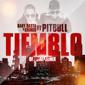 Baby Rasta y Gringo Ft. Pitbull - Tiemblo (Remix) MP3