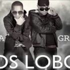 Baby Rasta y Gringo - Los Lobos MP3
