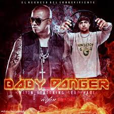Wisin Ft. Sean Paul - Baby Danger MP3