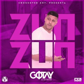Gotay El Autentiko - Zun Zun (El Chamaquito De Ahora) MP3