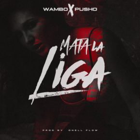 Wambo El Mafiaboy Ft. Pusho - Mata La Liga MP3