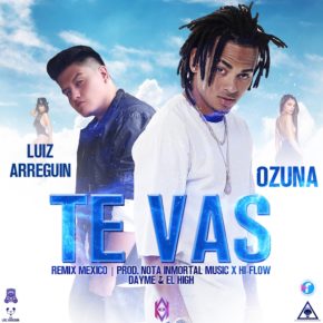 Luiz Arreguin Ft. Ozuna - Te Vas (Mexico Remix) MP3