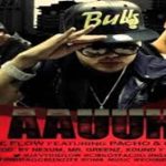 Javy The Flow Ft. Cirilo y Pacho - AAUUH MP3