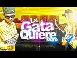 Ñengo Flow Ft. Gaona - La Gata Quiere Duro MP3