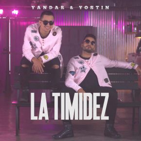 Yandar Y Yostin - La Timidez MP3