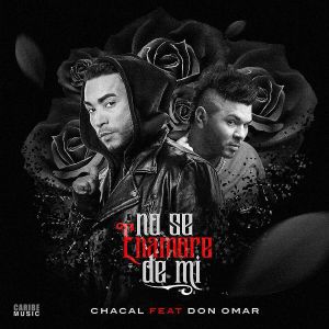 Chacal Ft. Don Omar - No Se Enamore De Mi MP3