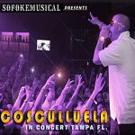 Cosculluela - Concierto en Tampa FL (2010) Album