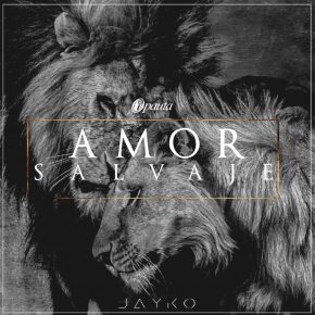 Jayko - Amor Salvaje MP3