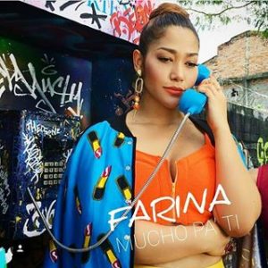 Farina - Rake It Up MP3