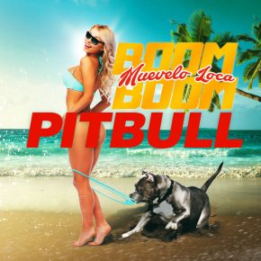 Pitbull - Muévelo Loca Boom Boom MP3